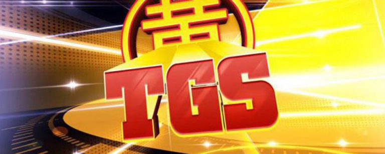 GamersFlag sera au Toulouse Game Show !