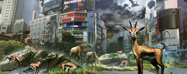 [TEST] Tokyo Jungle, kiki fait de la résistance