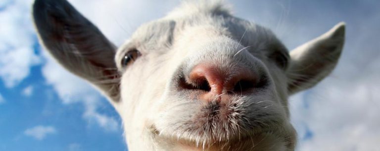 Goat Simulator