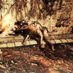 Nouveau trailer pour Dark Souls 2