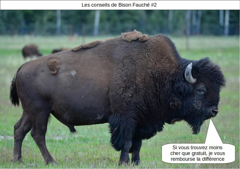 [BONS PLANS] Les conseils de « Bison Fauché » #2