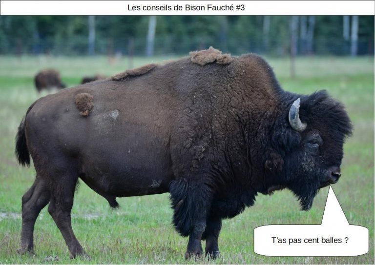 [BONS PLANS] Les conseils de « Bison Fauché » #3