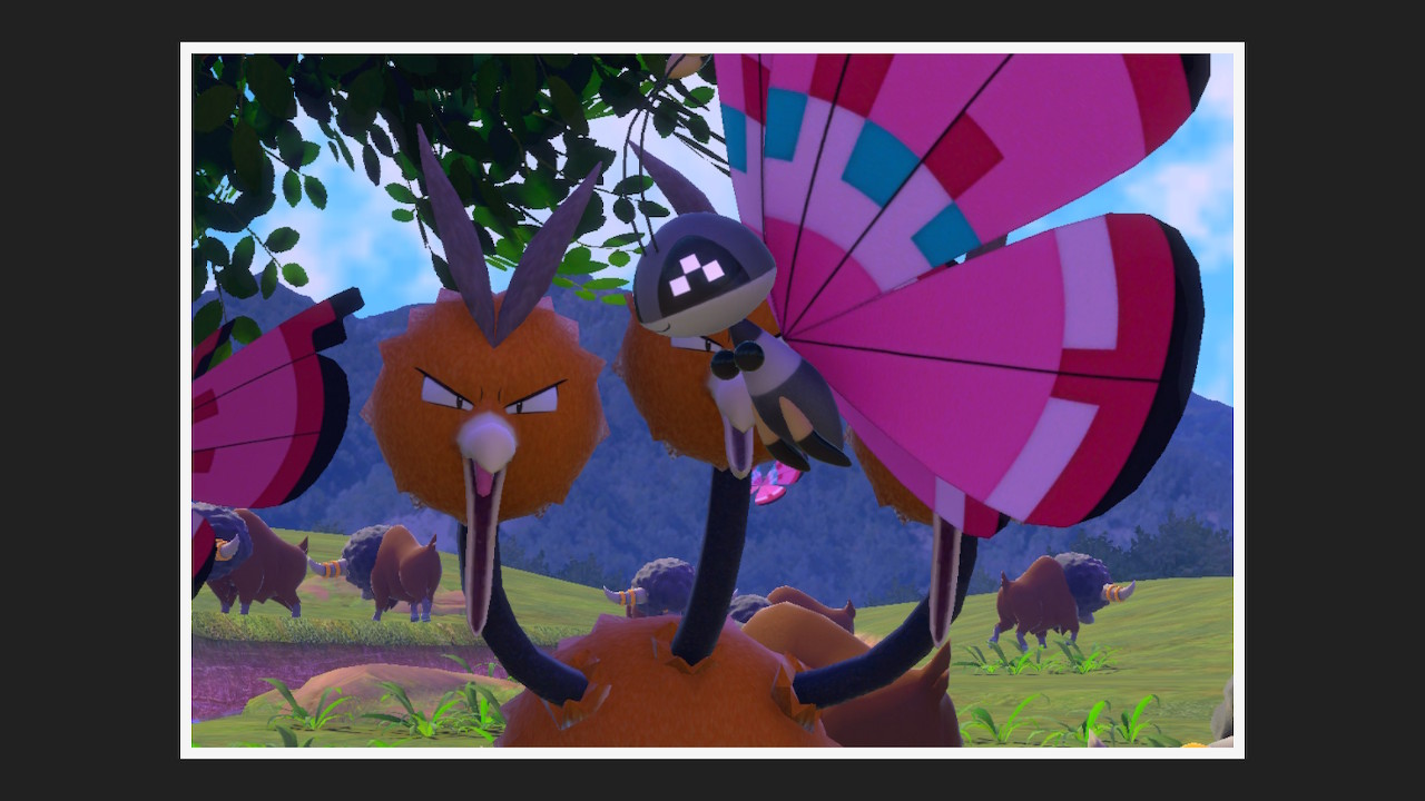 capture d'écran NPS